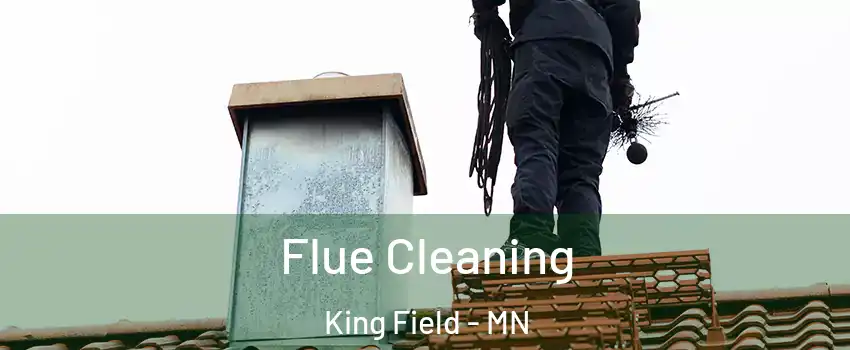 Flue Cleaning King Field - MN
