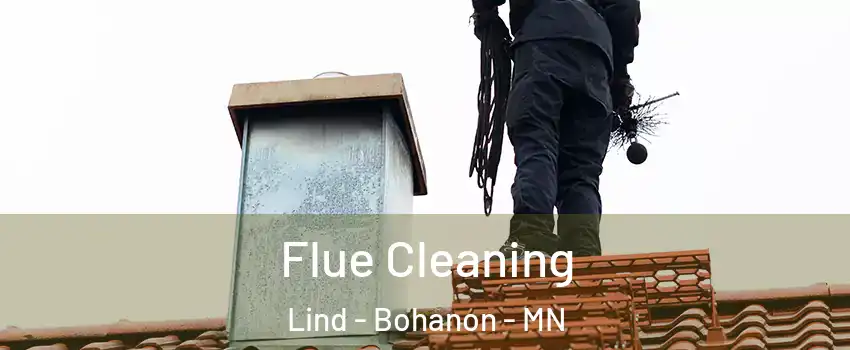 Flue Cleaning Lind - Bohanon - MN