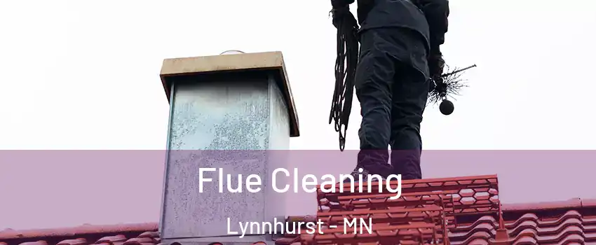 Flue Cleaning Lynnhurst - MN