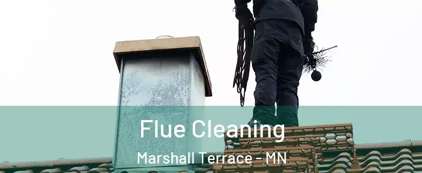 Flue Cleaning Marshall Terrace - MN