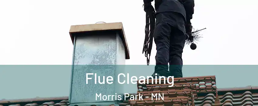 Flue Cleaning Morris Park - MN