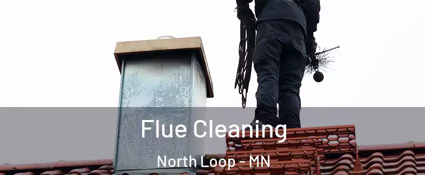 Flue Cleaning North Loop - MN
