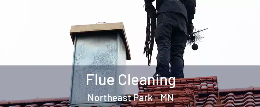 Flue Cleaning Northeast Park - MN