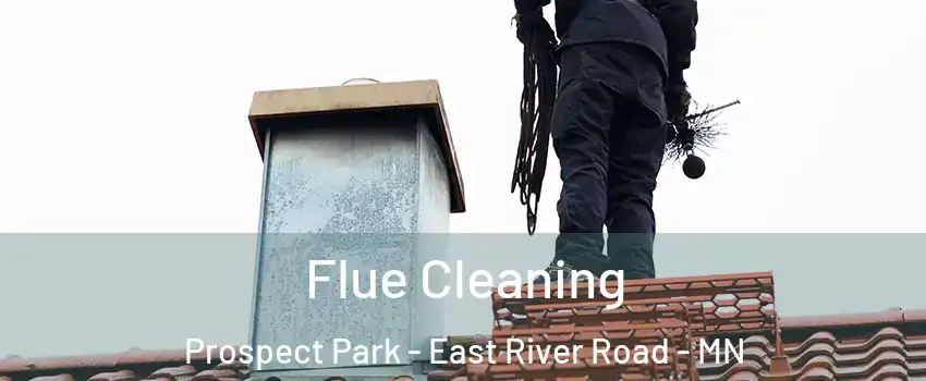 Flue Cleaning Prospect Park - East River Road - MN