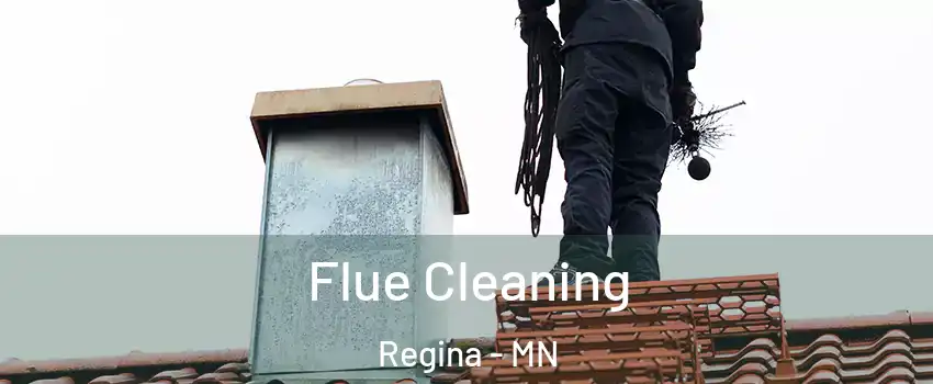 Flue Cleaning Regina - MN