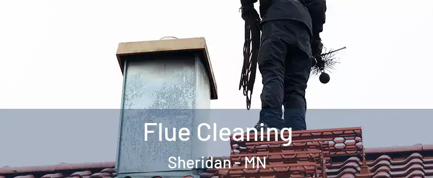 Flue Cleaning Sheridan - MN