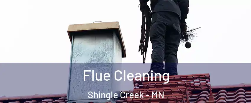 Flue Cleaning Shingle Creek - MN