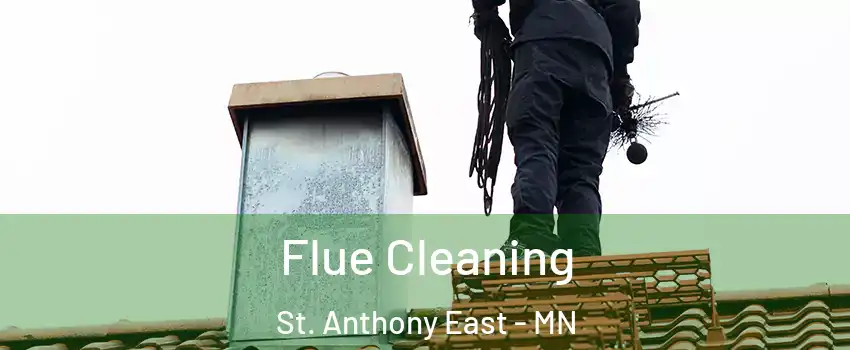 Flue Cleaning St. Anthony East - MN