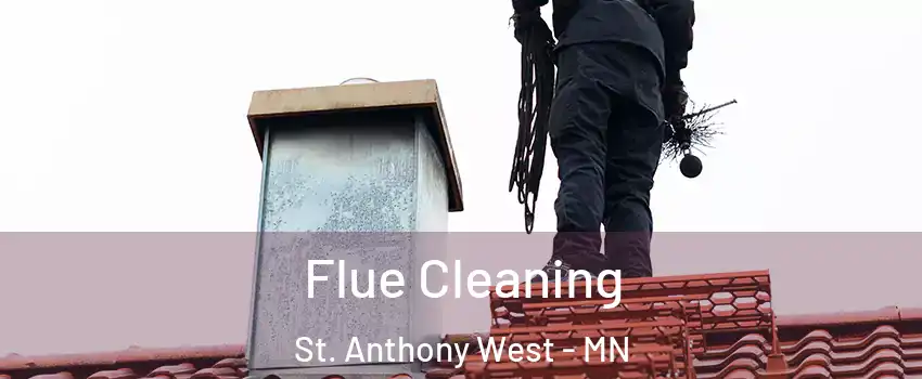 Flue Cleaning St. Anthony West - MN