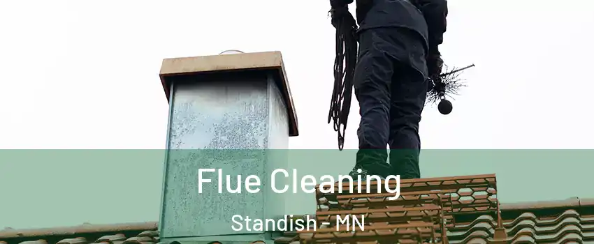 Flue Cleaning Standish - MN