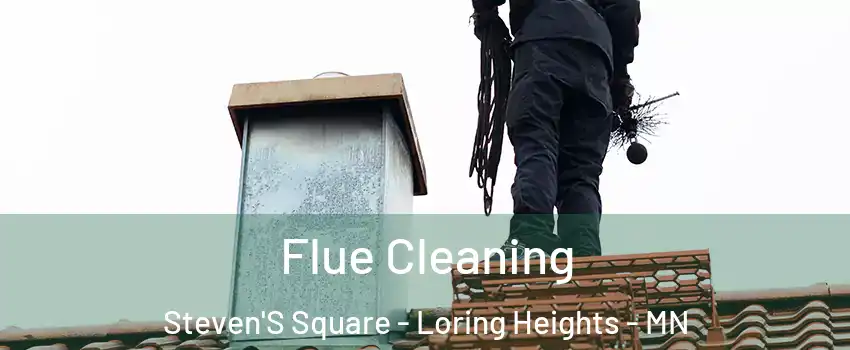 Flue Cleaning Steven'S Square - Loring Heights - MN