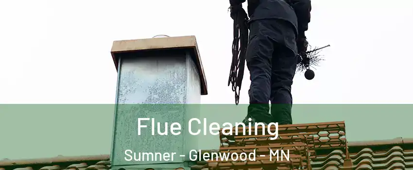Flue Cleaning Sumner - Glenwood - MN