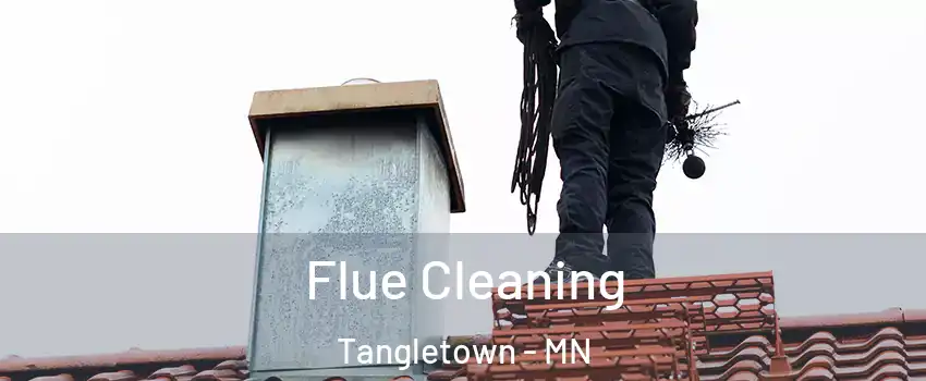 Flue Cleaning Tangletown - MN