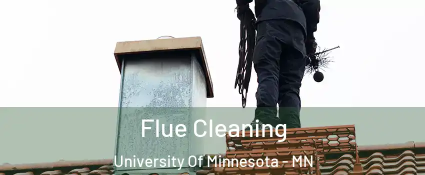 Flue Cleaning University Of Minnesota - MN