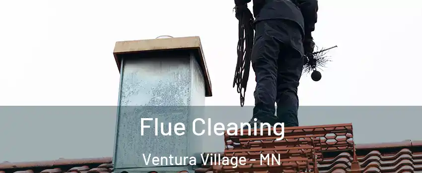 Flue Cleaning Ventura Village - MN