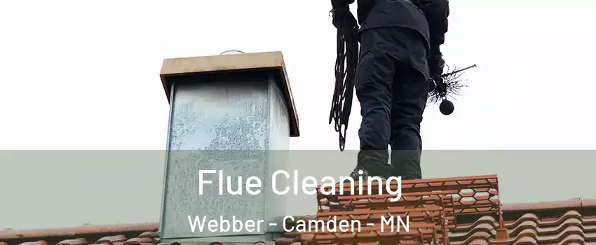Flue Cleaning Webber - Camden - MN