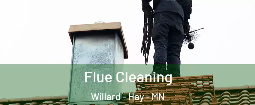 Flue Cleaning Willard - Hay - MN