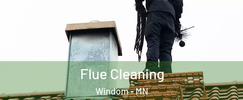 Flue Cleaning Windom - MN
