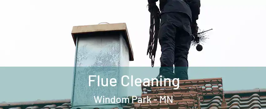 Flue Cleaning Windom Park - MN