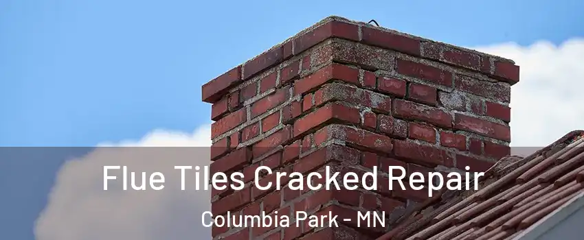 Flue Tiles Cracked Repair Columbia Park - MN
