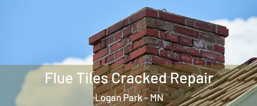 Flue Tiles Cracked Repair Logan Park - MN