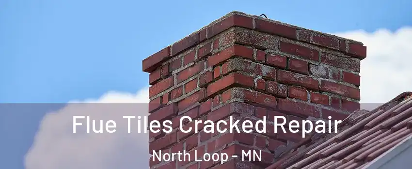 Flue Tiles Cracked Repair North Loop - MN