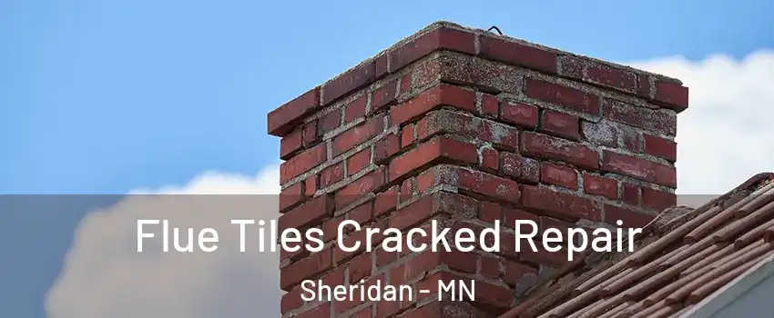 Flue Tiles Cracked Repair Sheridan - MN