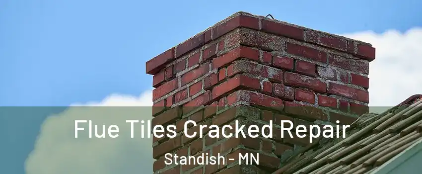 Flue Tiles Cracked Repair Standish - MN