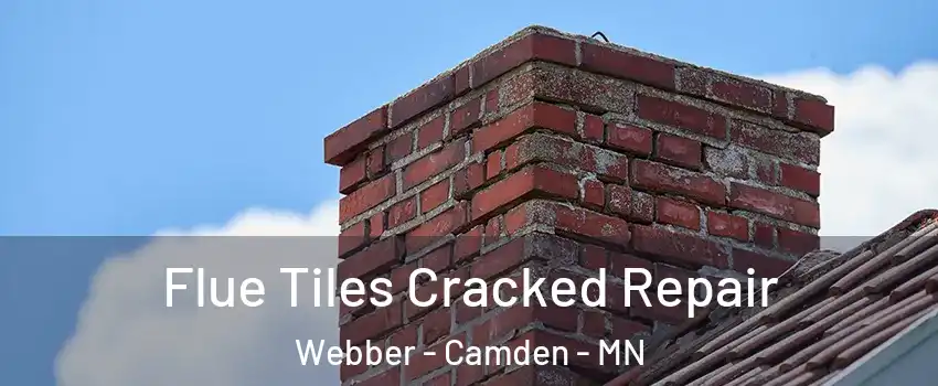 Flue Tiles Cracked Repair Webber - Camden - MN
