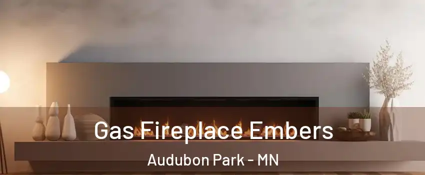 Gas Fireplace Embers Audubon Park - MN