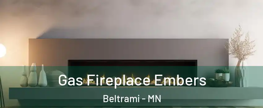 Gas Fireplace Embers Beltrami - MN