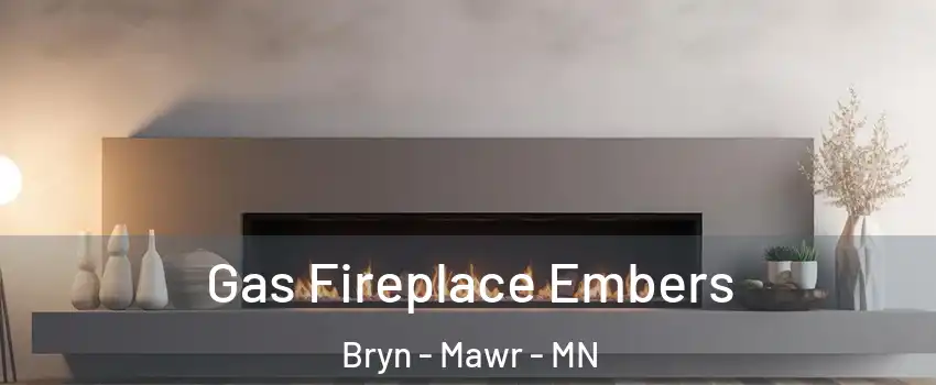 Gas Fireplace Embers Bryn - Mawr - MN