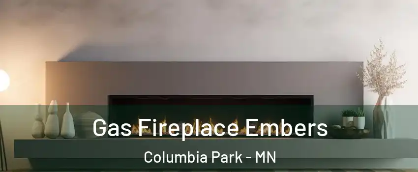 Gas Fireplace Embers Columbia Park - MN