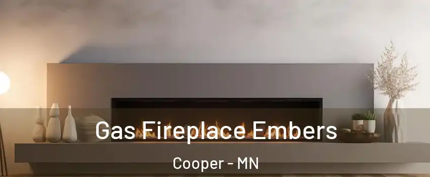 Gas Fireplace Embers Cooper - MN