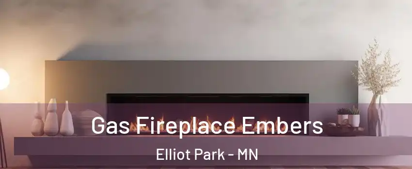 Gas Fireplace Embers Elliot Park - MN