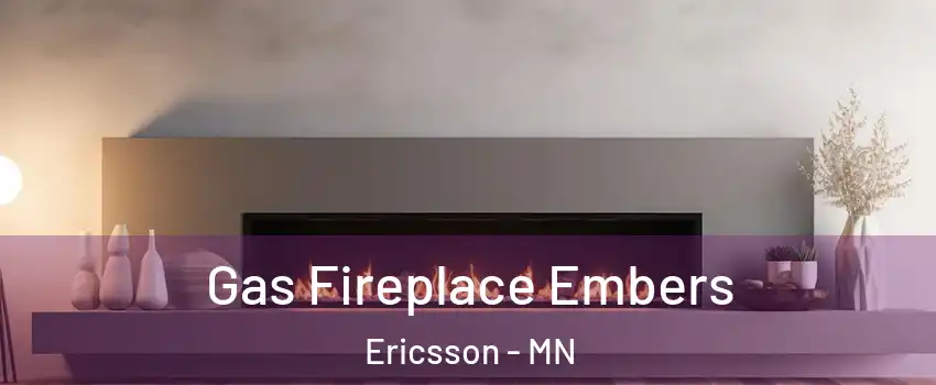 Gas Fireplace Embers Ericsson - MN