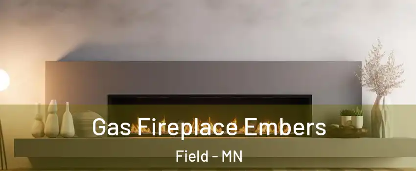 Gas Fireplace Embers Field - MN