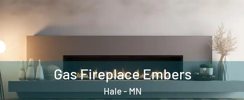 Gas Fireplace Embers Hale - MN