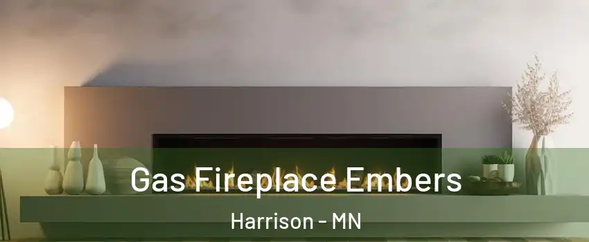 Gas Fireplace Embers Harrison - MN