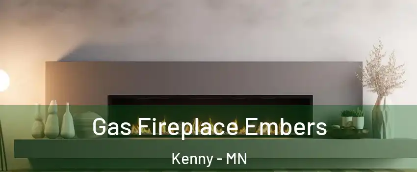 Gas Fireplace Embers Kenny - MN