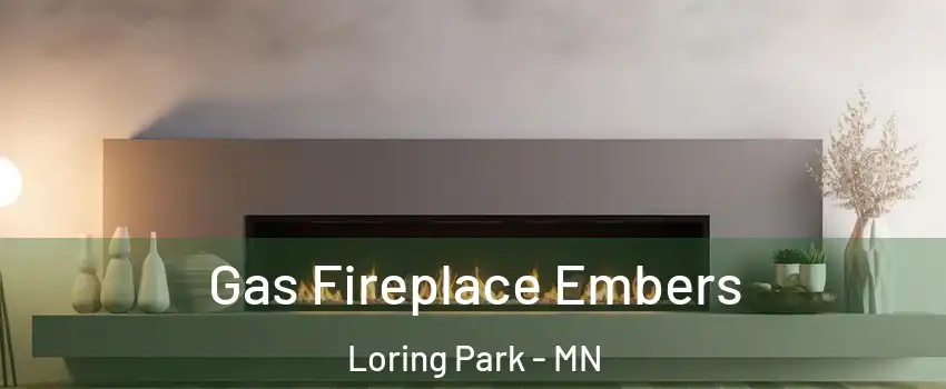 Gas Fireplace Embers Loring Park - MN