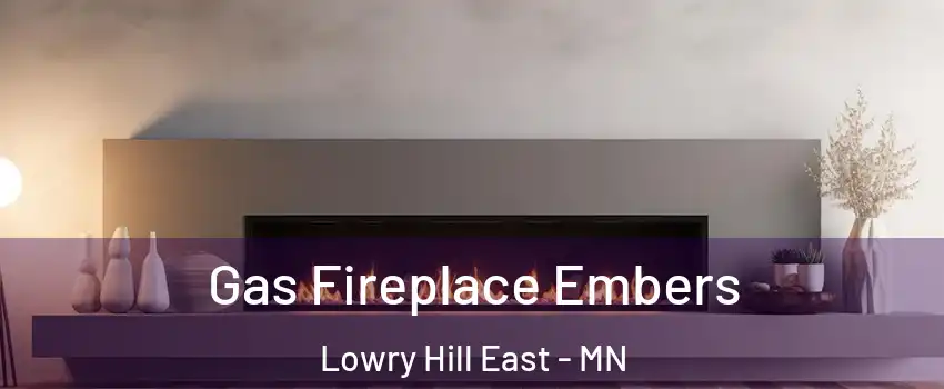 Gas Fireplace Embers Lowry Hill East - MN