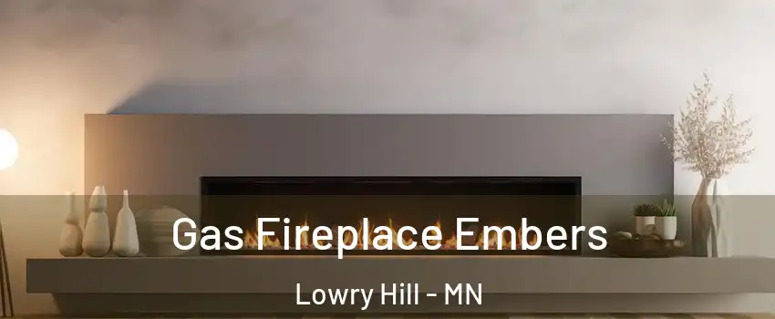 Gas Fireplace Embers Lowry Hill - MN