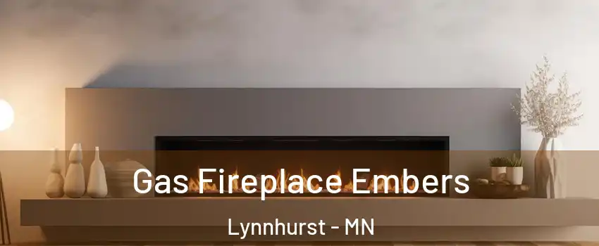 Gas Fireplace Embers Lynnhurst - MN