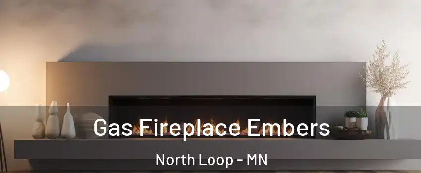 Gas Fireplace Embers North Loop - MN