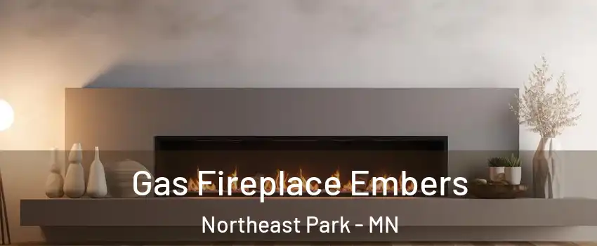 Gas Fireplace Embers Northeast Park - MN