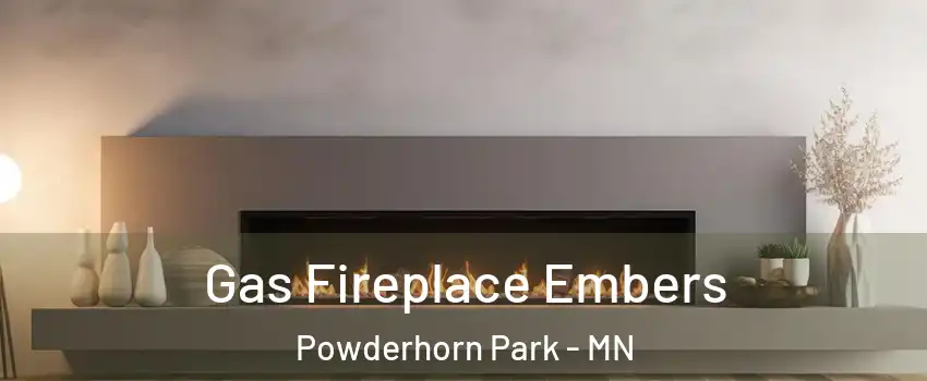 Gas Fireplace Embers Powderhorn Park - MN