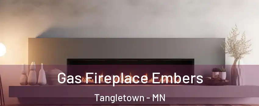 Gas Fireplace Embers Tangletown - MN