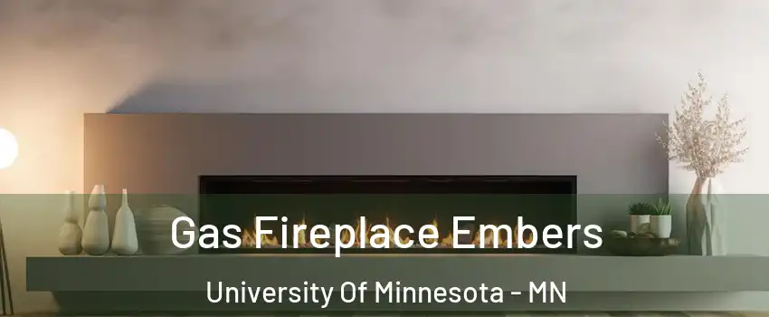 Gas Fireplace Embers University Of Minnesota - MN