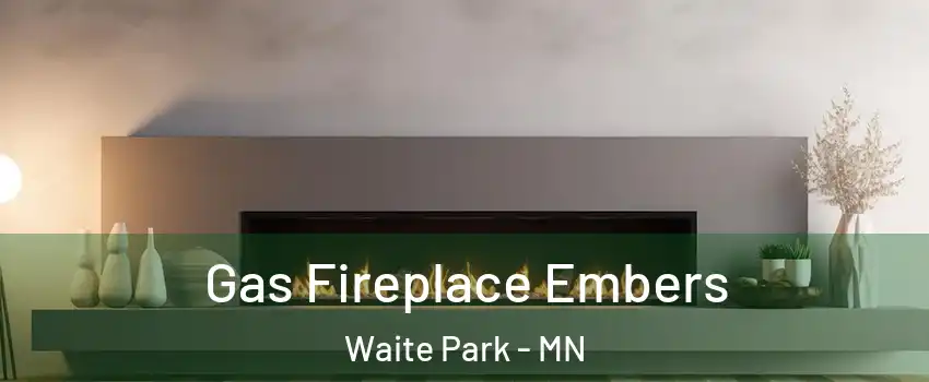 Gas Fireplace Embers Waite Park - MN